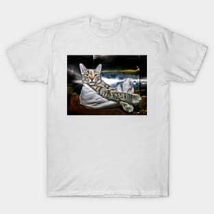 This Is Kitty! T-Shirt